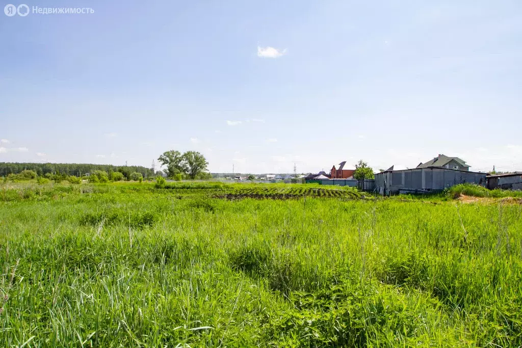 Участок в Тюменская область, Заводоуковский муниципальный округ, село ... - Фото 2