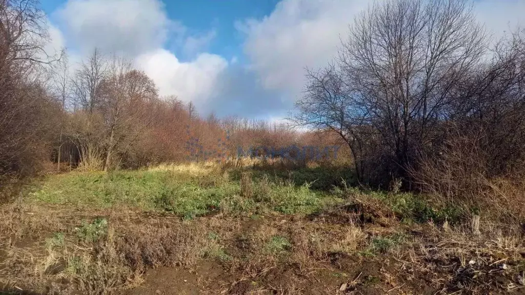 Участок в Нижегородская область, Лысковский район, с. Окишино Верхняя ... - Фото 0