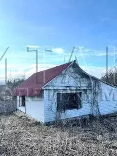 Дом в Ленинградская область, Сланцы Гавриловская ул., 32 (25 м) - Фото 1