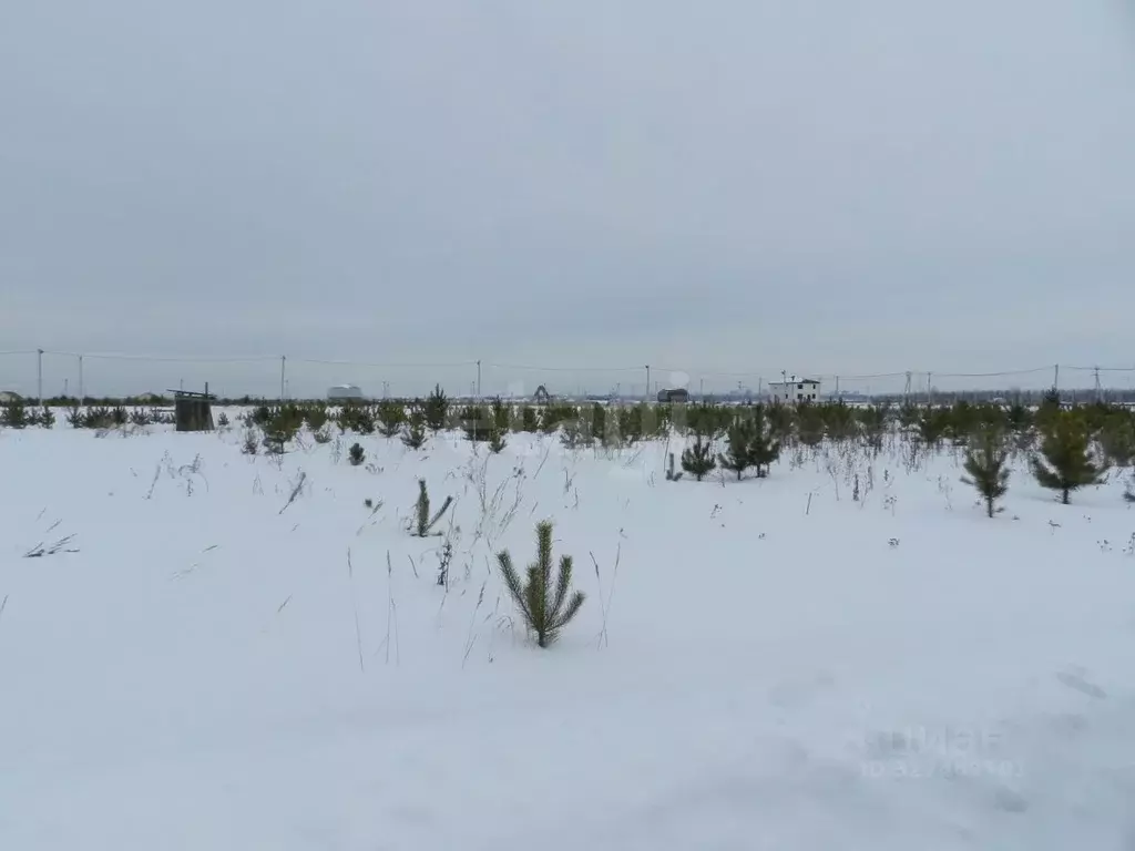 Участок в Курганская область, Курган с. Зайково,  (15.25 сот.) - Фото 1