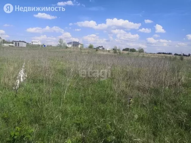 Участок В Медовке Воронеж Купить