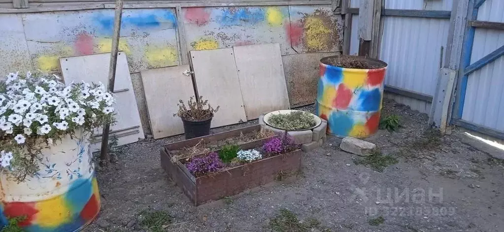 Дом в Саратовская область, Энгельс Советская ул., 81 (84 м) - Фото 1