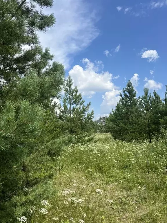 Участок в Челябинская область, Каслинский муниципальный округ, д. ... - Фото 2