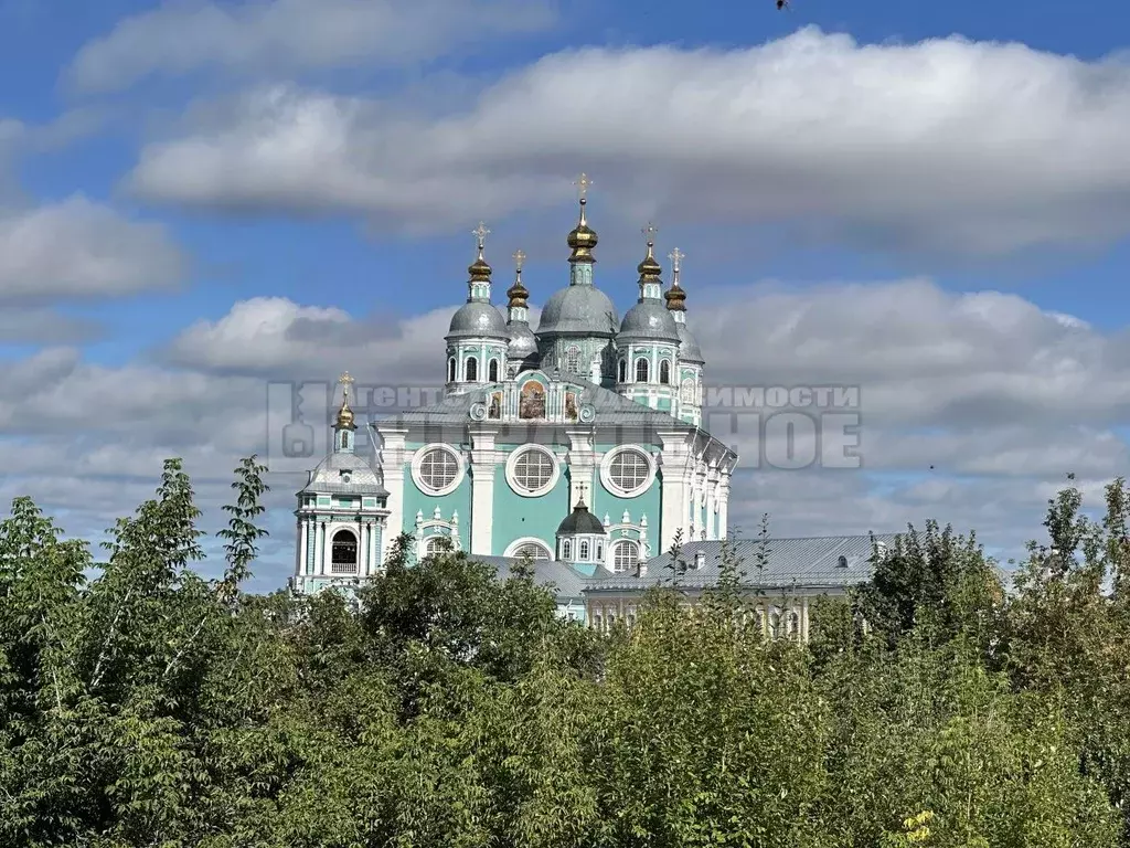 Участок в Смоленская область, Смоленск ул. Коненкова, 13 (23.2 сот.) - Фото 1