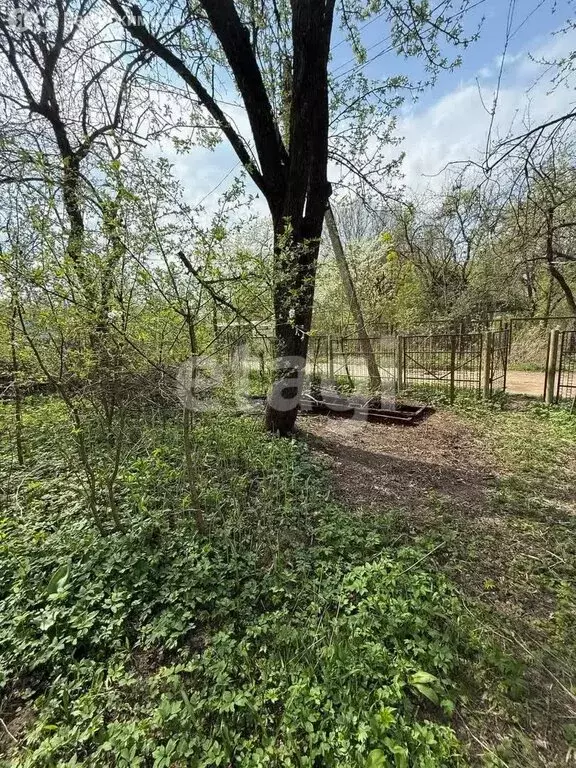 Участок в Калуга, садоводческое некоммерческое товарищество Рабочий ... - Фото 1