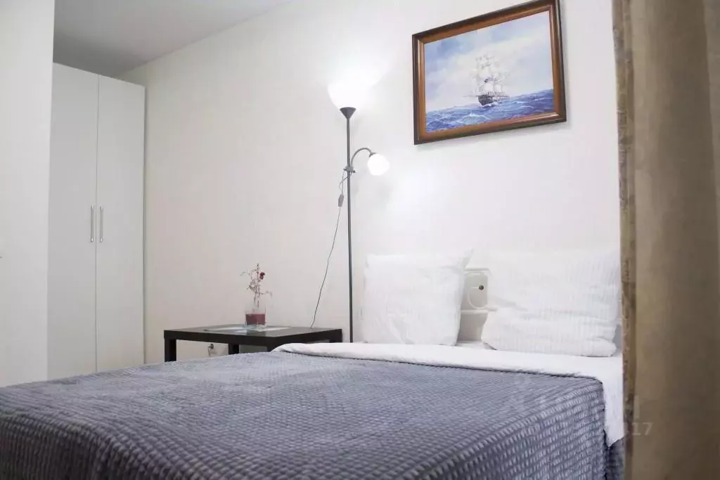 1-к кв. Нижегородская область, Нижний Новгород ул. Новокузнечихинская, ... - Фото 2