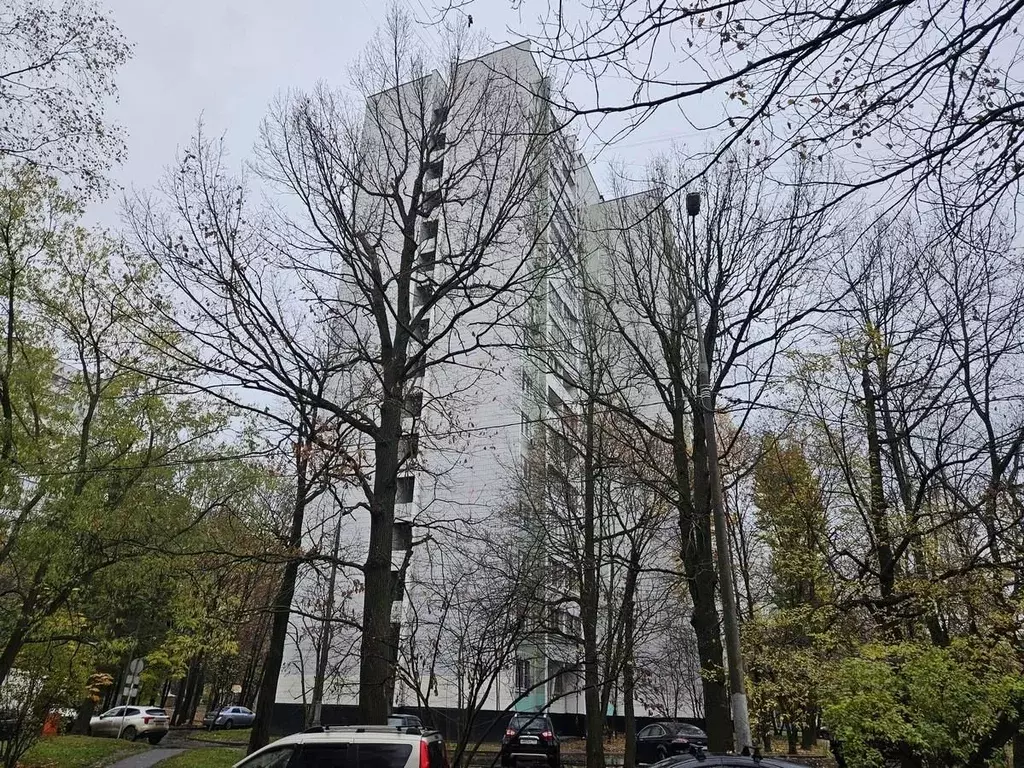 Помещение свободного назначения в Москва Череповецкая ул., 7 (54 м) - Фото 2