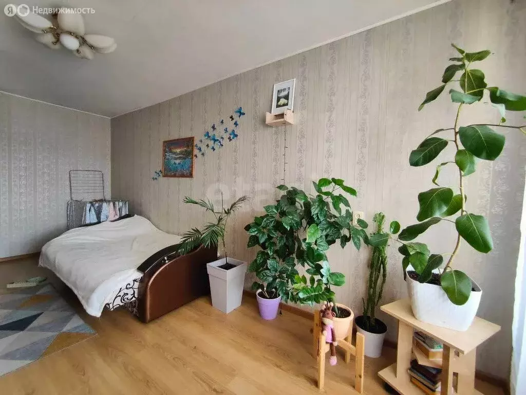 1-комнатная квартира: Кострома, Никитская улица, 55 (31.1 м) - Фото 2