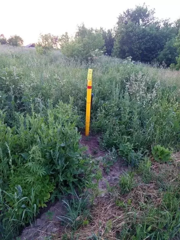 Участок в село Ярки, Береговая улица (5 м) - Фото 2