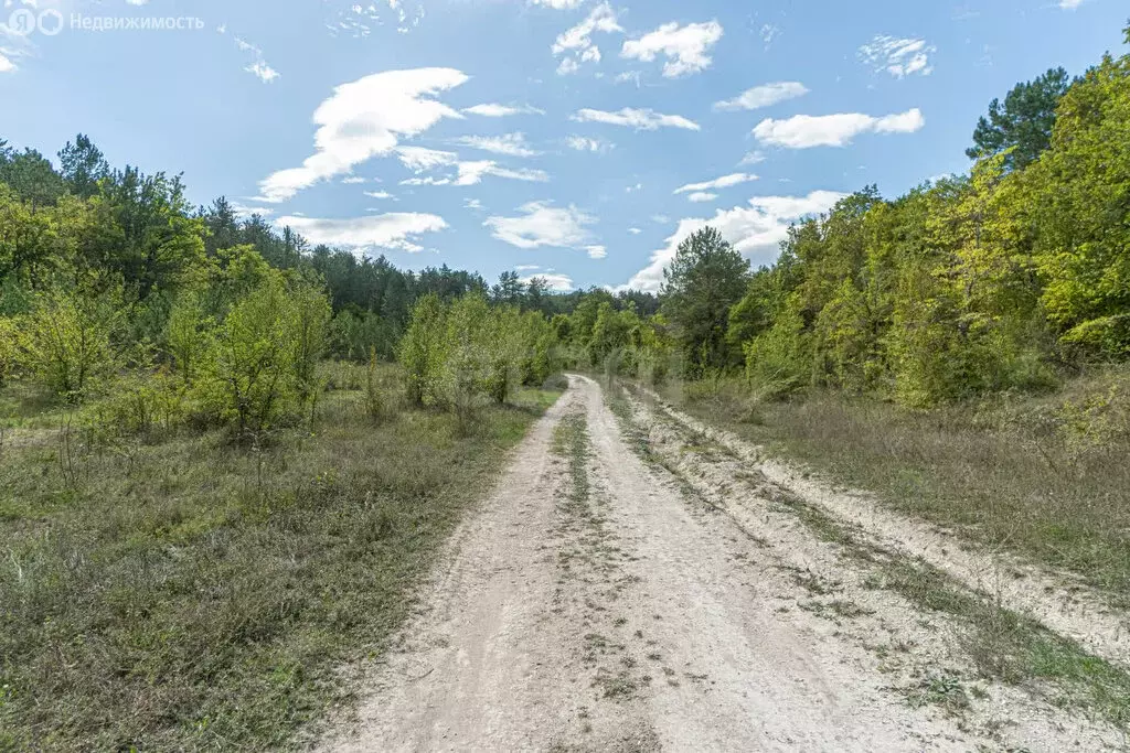 Участок в Бахчисарайский район, посёлок городского типа Куйбышево (50 ... - Фото 1