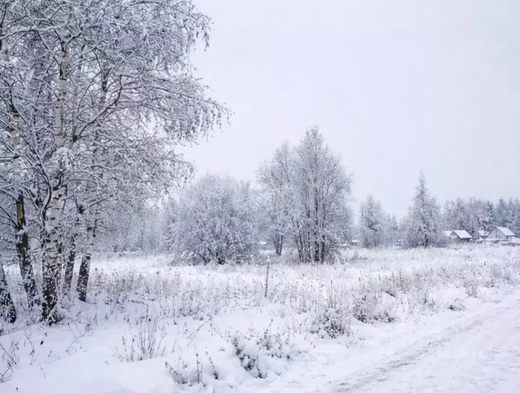 Участок в Тульская область, Тула городской округ, д. Харино проезд 2-й ... - Фото 1