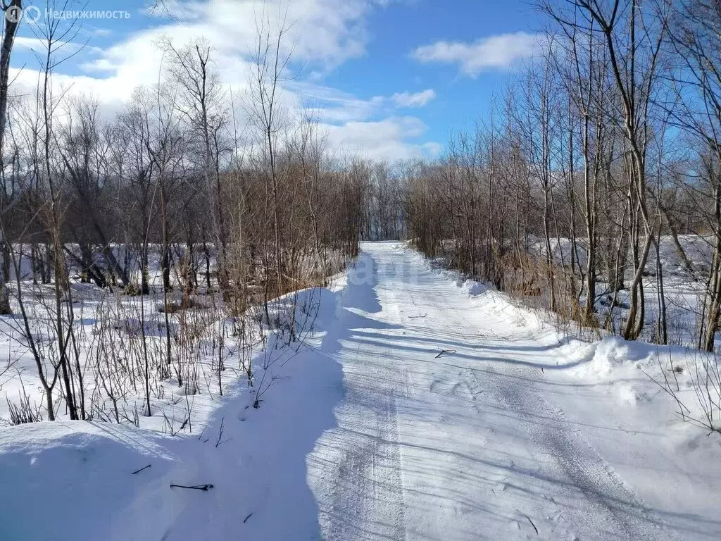 Участок в Елизовский район, Пионерское сельское поселение, посёлок ... - Фото 0