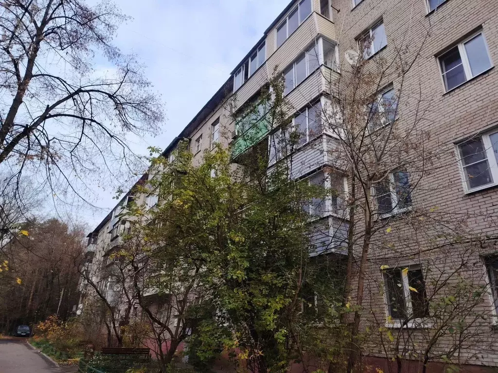 1-к кв. Московская область, Богородский городской округ, пос. Зеленый ... - Фото 1