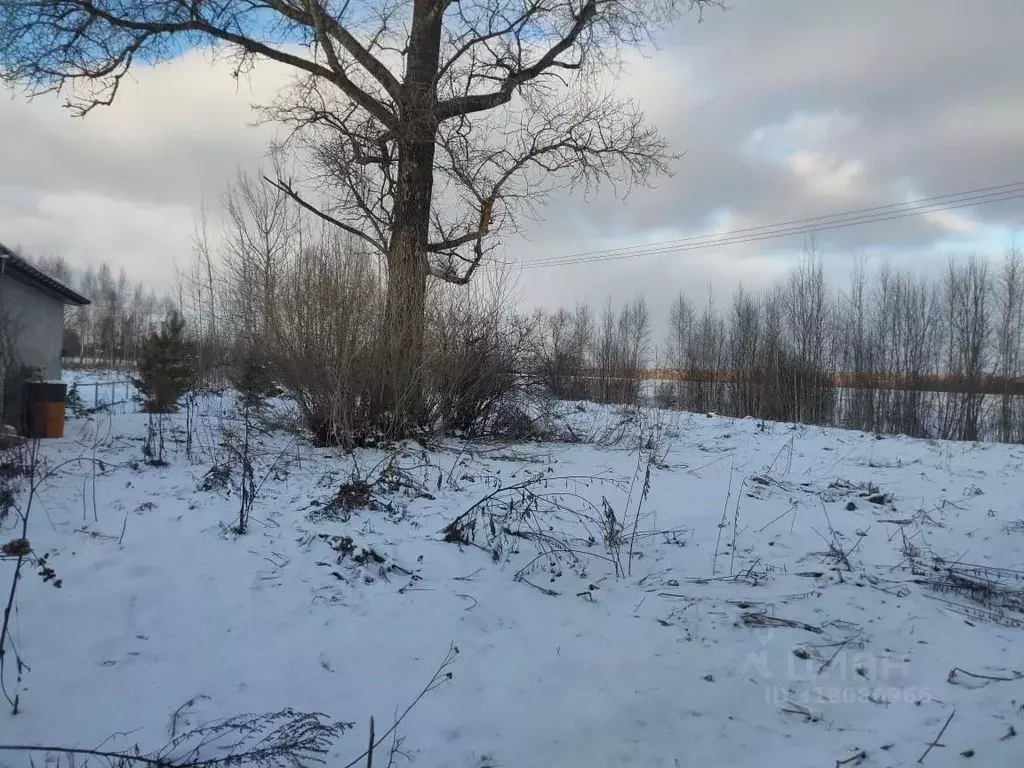 Участок в Московская область, Клин городской округ, д. Бирево  (10.0 ... - Фото 0