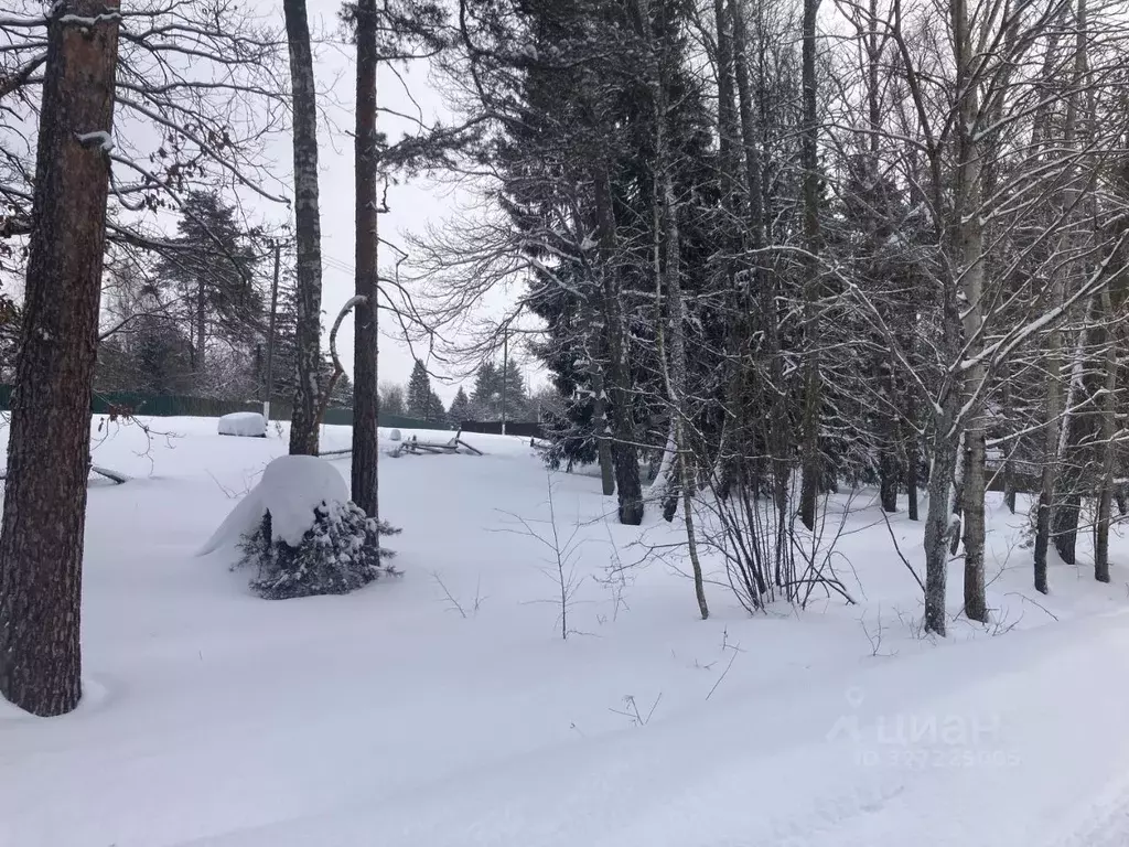 Участок в Московская область, Чехов муниципальный округ, д. Скурыгино  ... - Фото 2