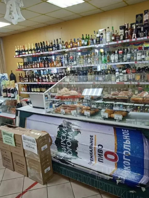 Торговая площадь в Крым, Ленино пгт ул. Энгельса, 12А (300 м) - Фото 0