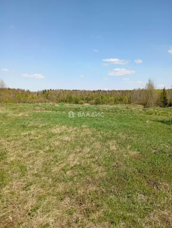 Участок в Коми, Сыктывкар городской округ, пос. Верхний Мыртыю ул. ... - Фото 1