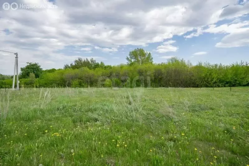 Участок в Набережные Челны, улица Сагита Хальфина (8 м) - Фото 1