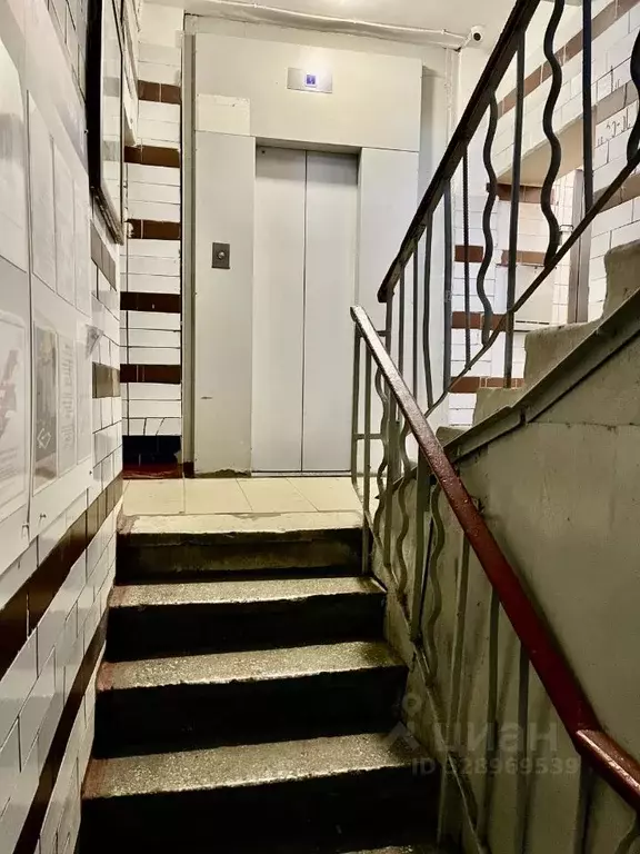 Комната Москва ул. Трофимова, 4к2 (16.0 м) - Фото 2