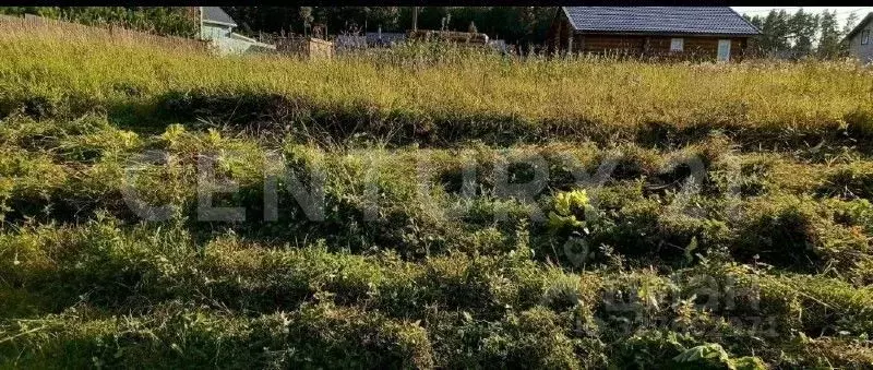 Участок в Ленинградская область, Приморск Приморское СНТ,  (9.5 сот.) - Фото 2