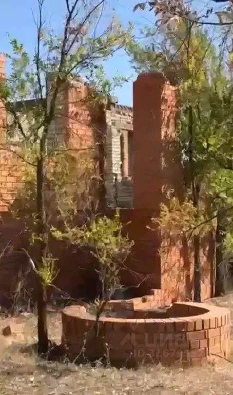 Участок в Волгоградская область, Городищенский район, Вертячинское ... - Фото 1