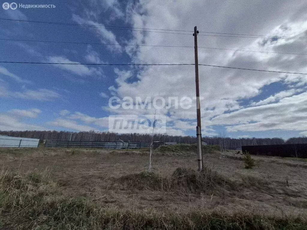 Участок в Челябинская область, Сосновский муниципальный округ, деревня ... - Фото 2