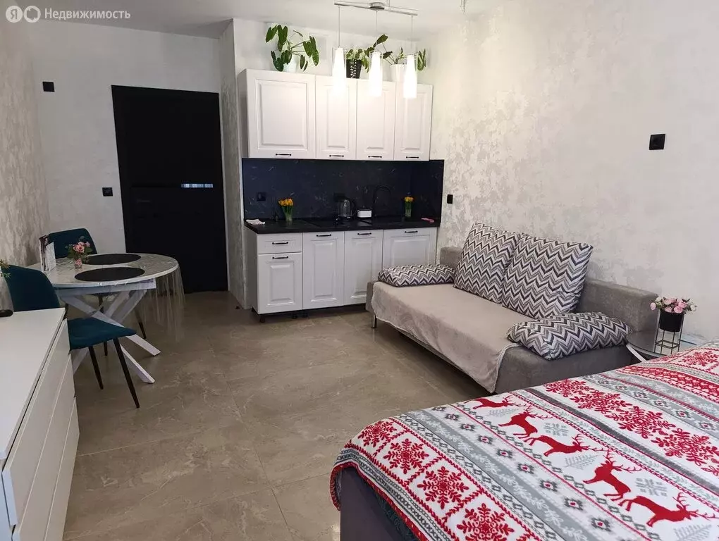 Квартира-студия: Волгоград, улица Степанищева, 4 (27.6 м) - Фото 2