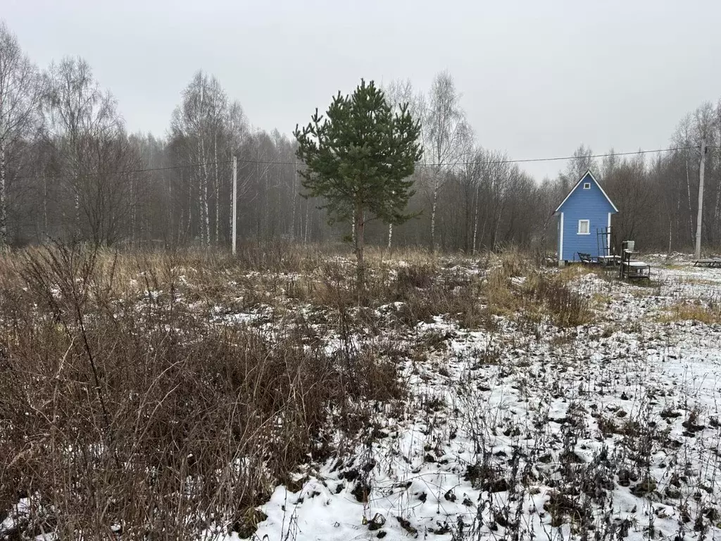 Участок в Владимирская область, Киржачский район, Кипревское ... - Фото 0