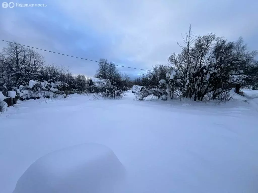 Участок в посёлок городского типа Софрино, Целинная улица, 9 (8 м) - Фото 1