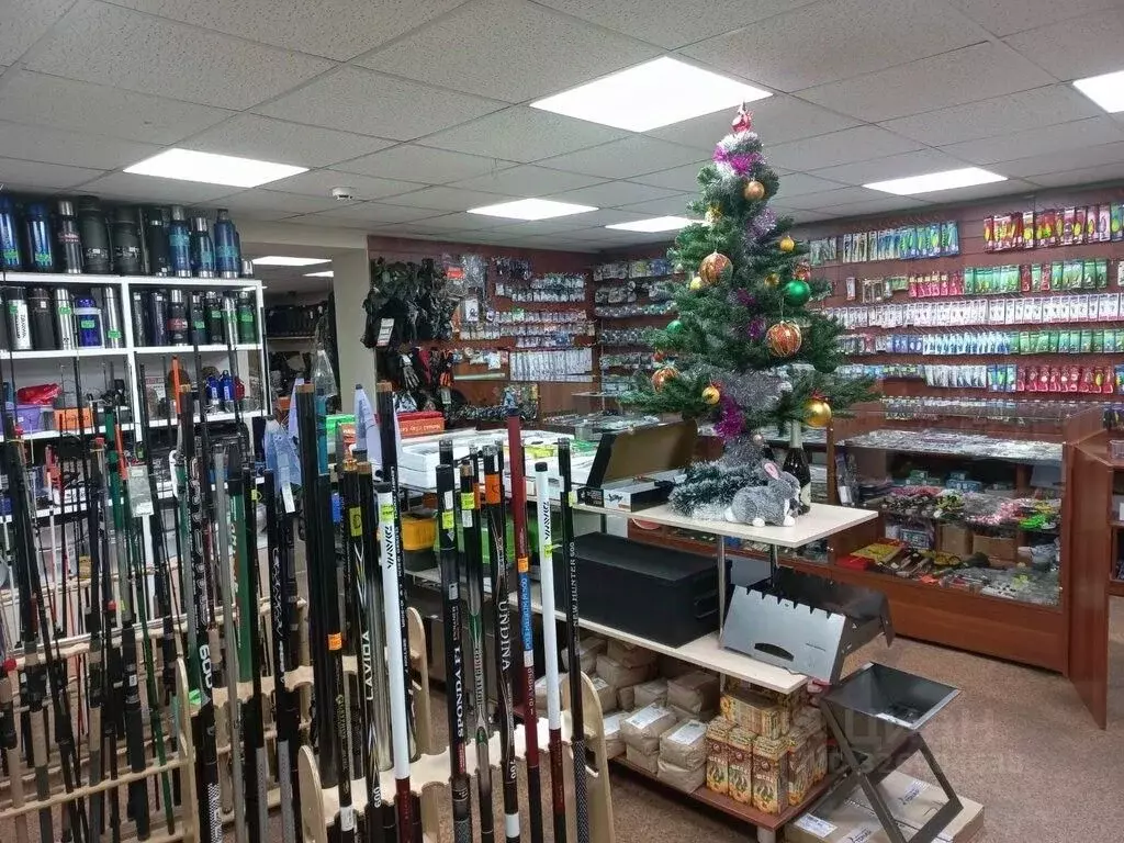 Помещение свободного назначения в Амурская область, Зея Народная ул., ... - Фото 1