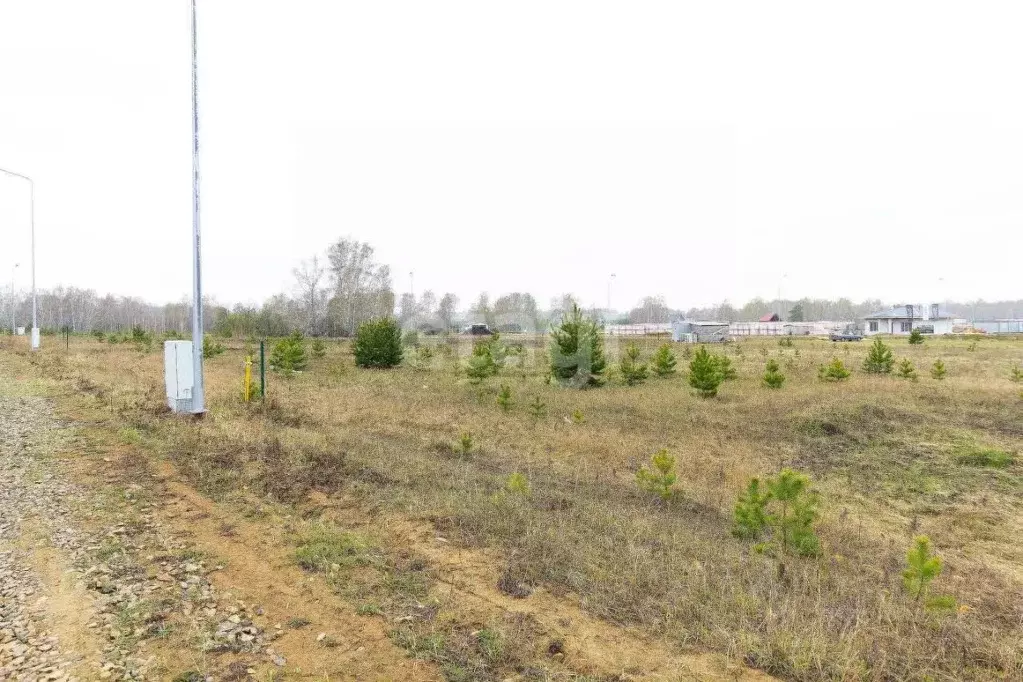 Участок в Тюменская область, Тюменский район, Новокаменский кп  (9.09 ... - Фото 1