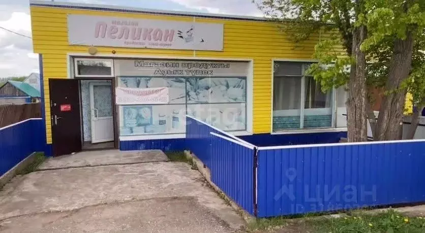 Торговая площадь в Башкортостан, Давлекановский район, д. Сергиополь ... - Фото 2