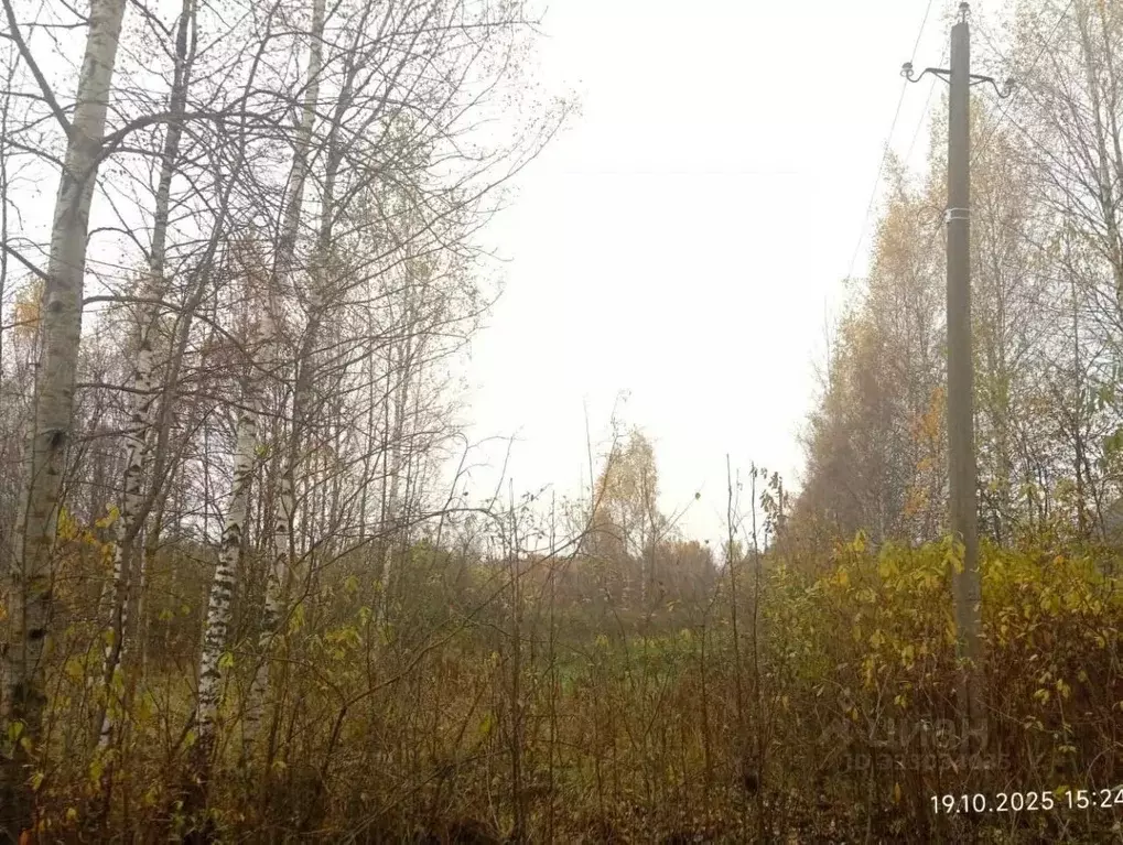 Участок в Тверская область, Конаковский муниципальный округ, Деревня ... - Фото 1