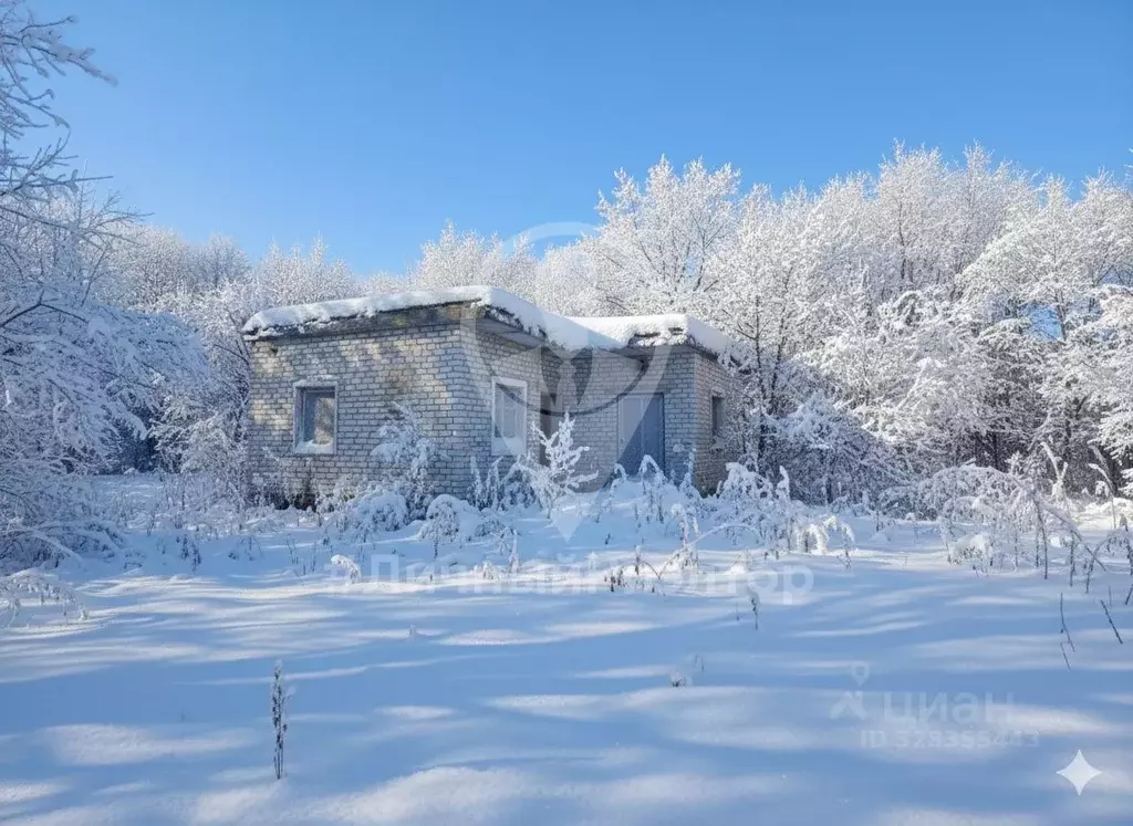 Помещение свободного назначения в Рязанская область, Скопинский ... - Фото 2