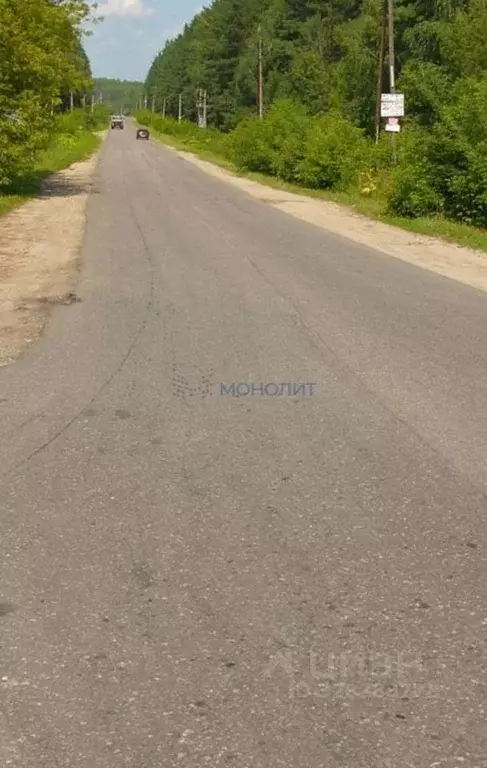 Участок в Нижегородская область, Богородский муниципальный округ, д. ... - Фото 2