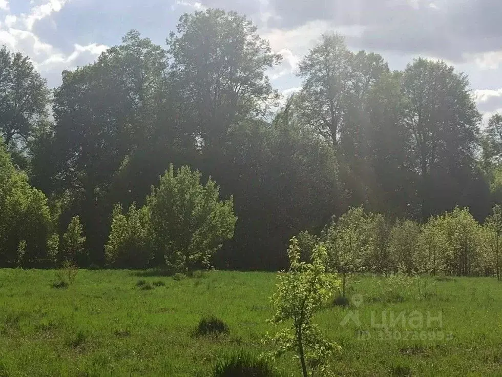 Участок в Московская область, Ступино городской округ, д. ... - Фото 1