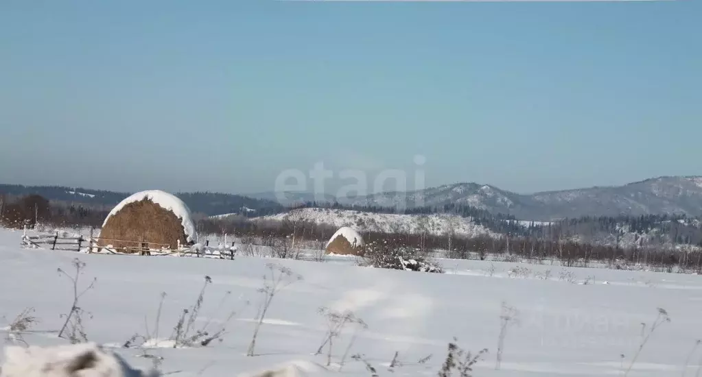 Участок в Алтай, Майминский район, с. Александровка ул. Ак-кырланская, ... - Фото 1
