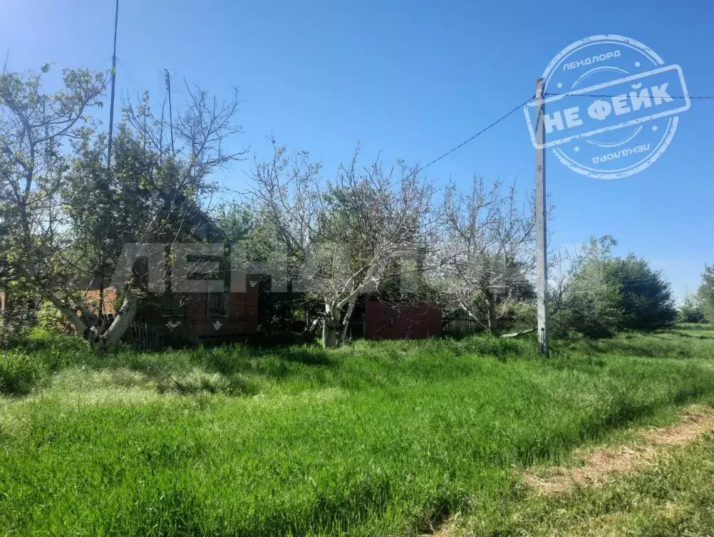 Участок в Краснодарский край, Кущевский район, Кисляковская ст-ца ... - Фото 1