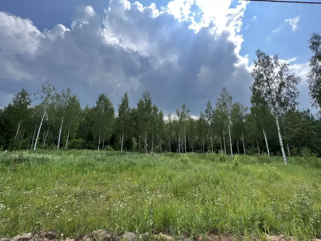 Участок в Московская область, Шаховская городской округ, Шаховская рп ... - Фото 0