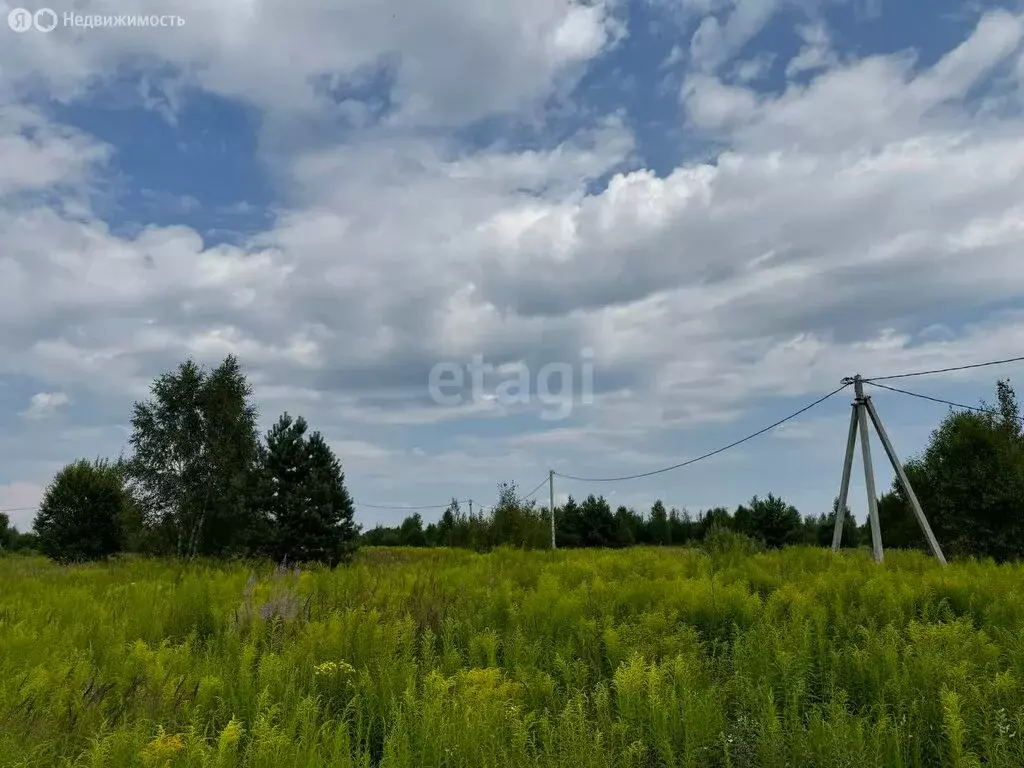 Участок в Нижегородская область, Городецкий муниципальный округ, ... - Фото 1