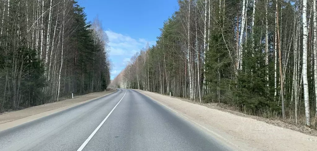 Участок в Псковская область, Гдовский район, Самолвовская волость, д. ... - Фото 1