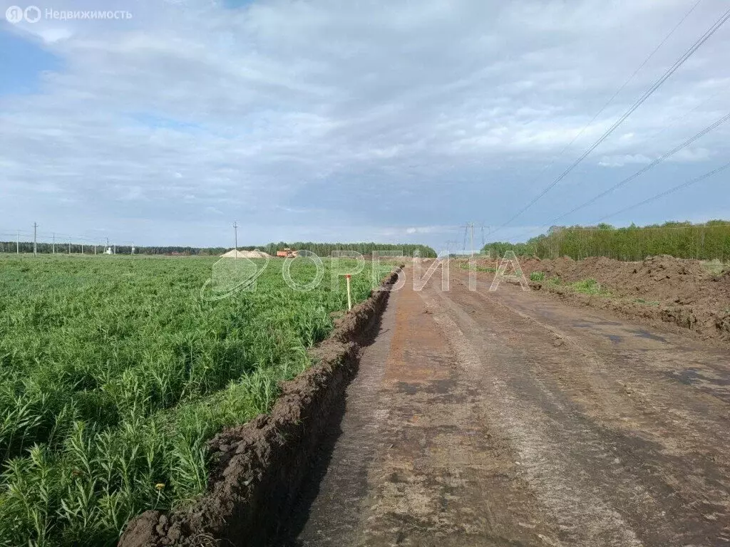 Участок в Тюменский район, село Каменка (5 м) - Фото 0