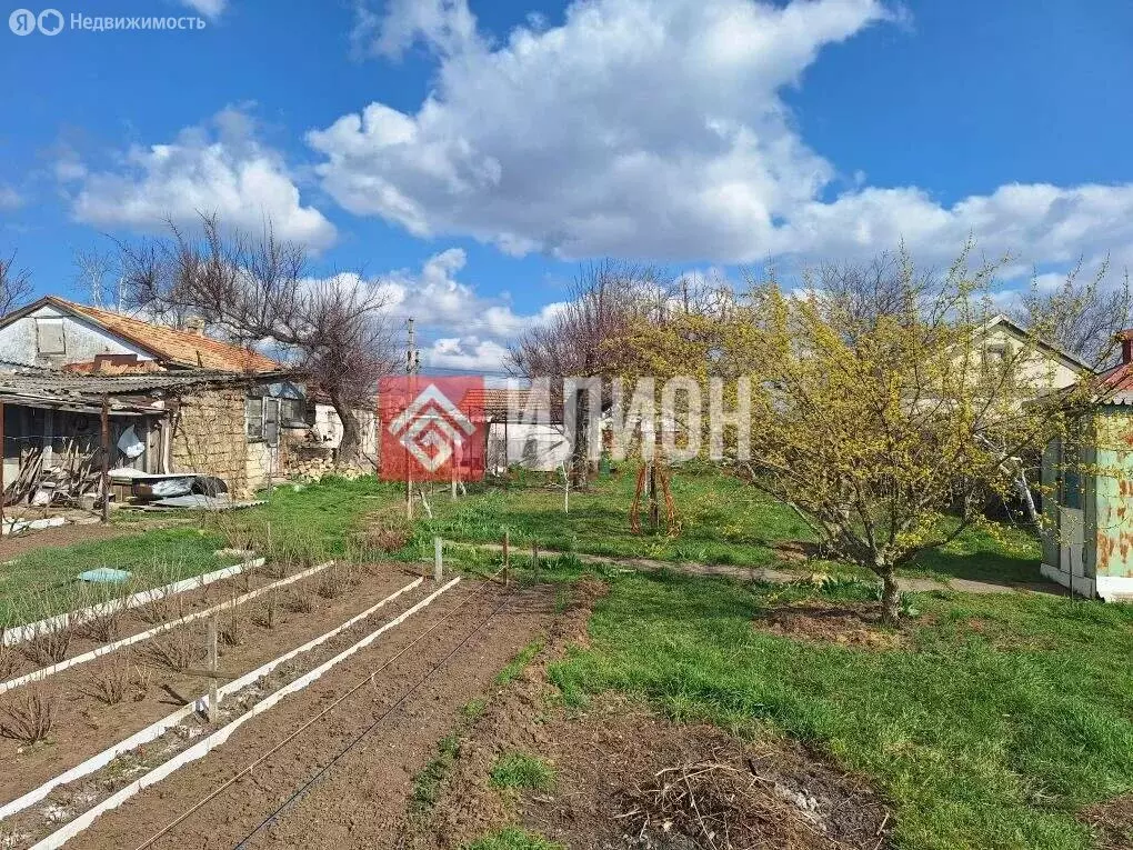 Участок в Чистенское сельское поселение, село Новозбурьевка, ... - Фото 2