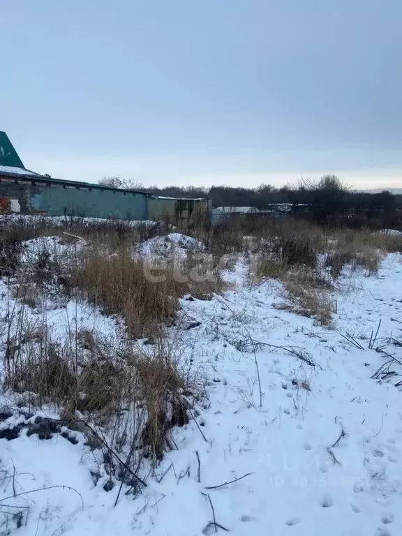 Участок в Липецкая область, Липецкий муниципальный округ, с. Большая ... - Фото 1