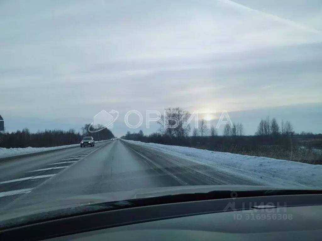 Участок в Тюменская область, Тюмень Велижанский тракт, 7-й км, 2 ... - Фото 1