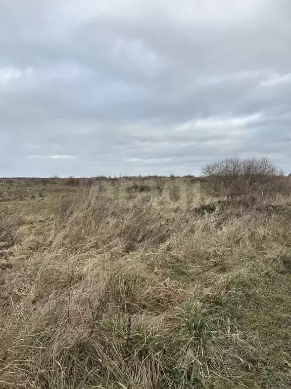 Участок в Калининградская область, Гвардейский муниципальный округ, ... - Фото 1