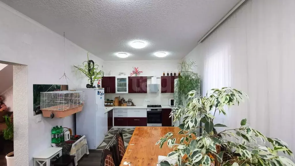 Дом в Краснодарский край, Геленджик городской округ, с. Дивноморское  ... - Фото 1