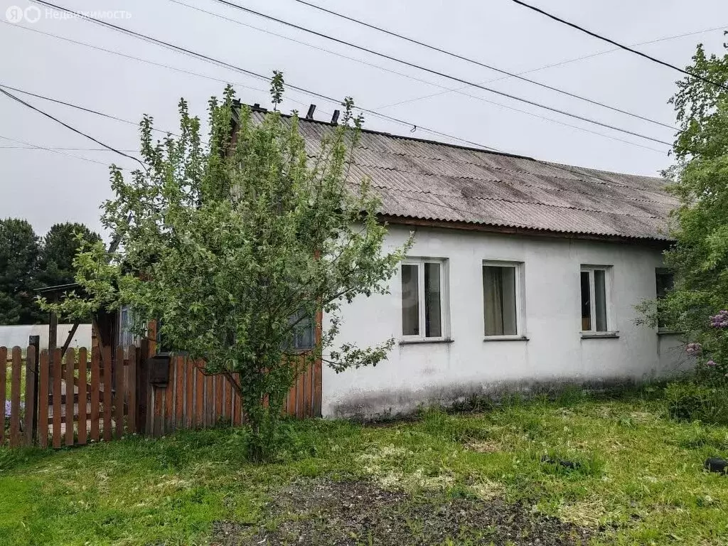 Дом в Елань, улица Мецнера (47.9 м) - Фото 1