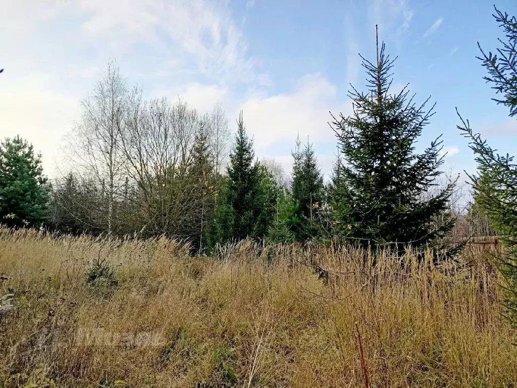 Продается участок в КП Скоротово - Фото 2