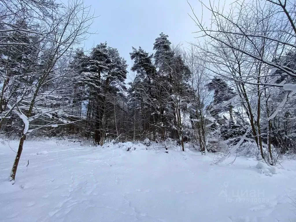 Участок в Санкт-Петербург, Санкт-Петербург, Зеленогорск Приморское ш., ... - Фото 1
